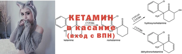 амф Вязники