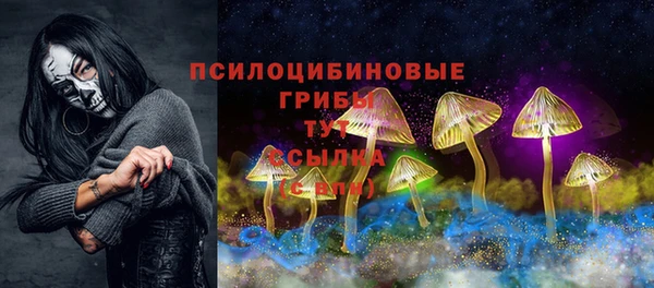 дмт Вязьма