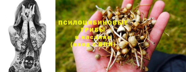 марки nbome Вяземский